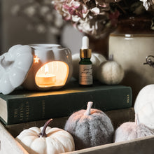 Load image into Gallery viewer, Ceramic Pumpkin Oil Burner
